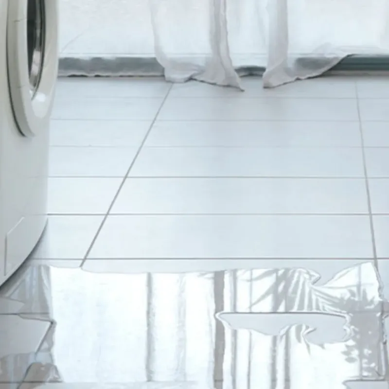 Appliance Leak Cleanup in Wallace, NC