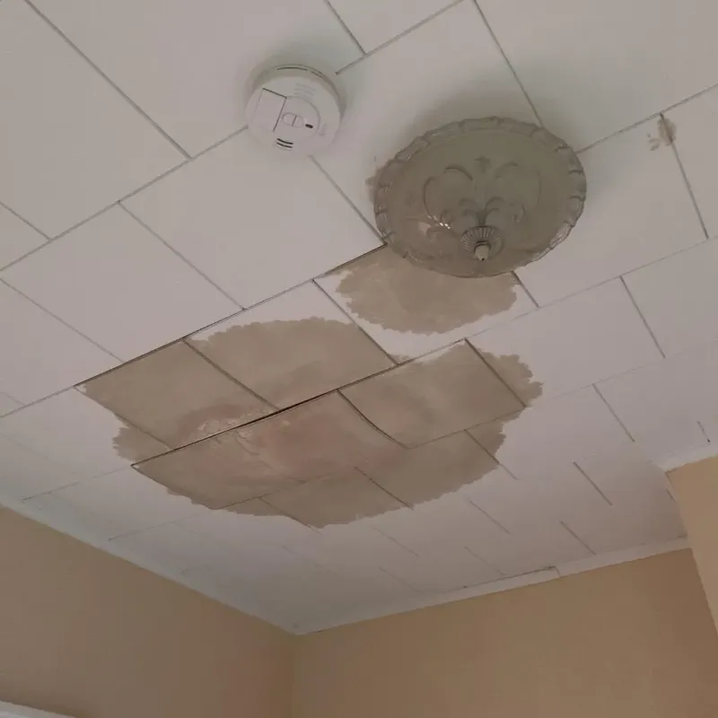 Ceiling Water Damage Repair in Wallace, NC