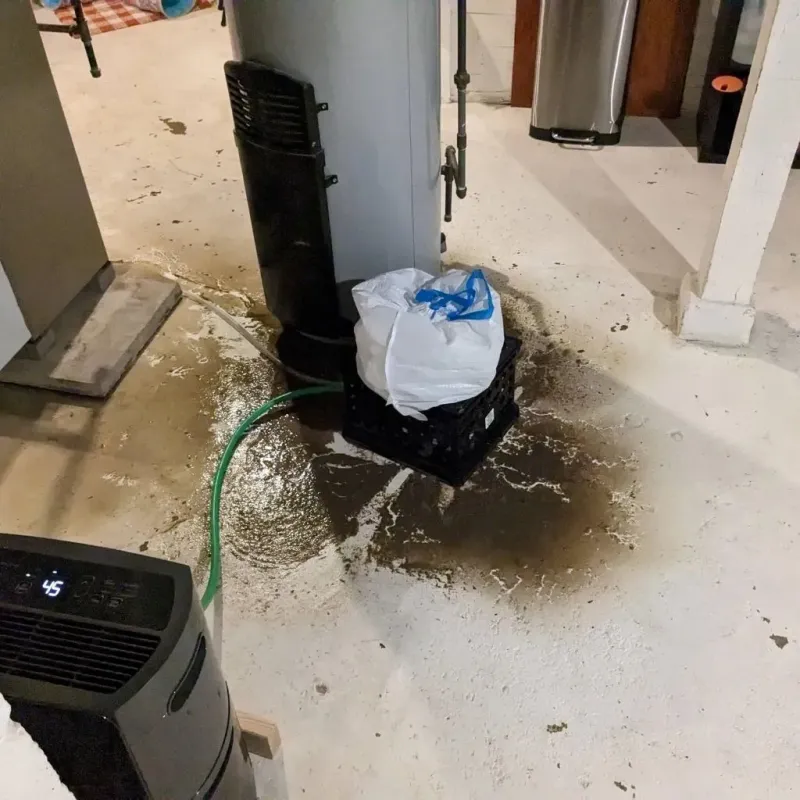 Sewage Backup Cleanup Service in Wallace, NC